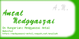 antal medgyaszai business card